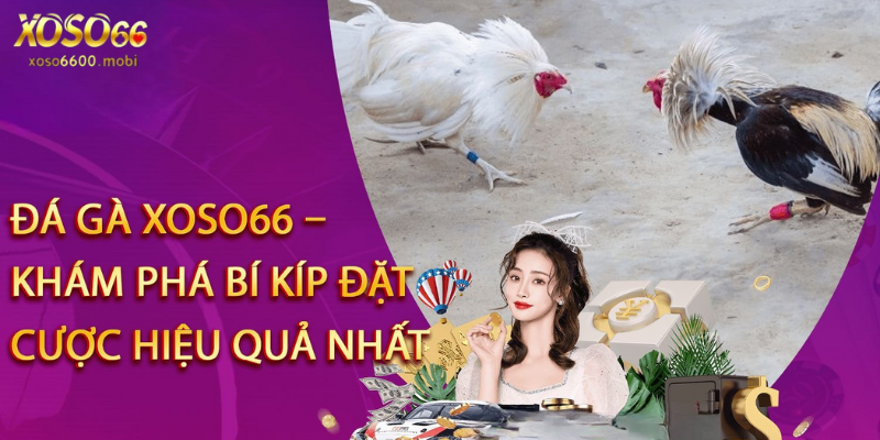 Tuyệt chiêu chơi hấp dẫn từ cao thủ