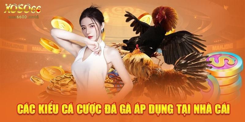 Hình thức chọi gà cuốn hút số 1