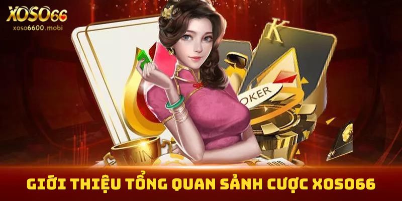 Giới thiệu tổng quan sảnh cược Xoso66 được yêu thích