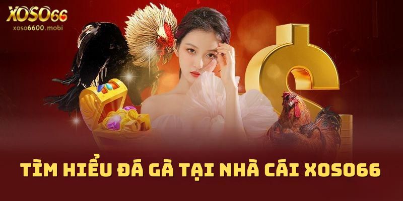 Khái quát thông tin hấp dẫn về siêu phẩm đá gà